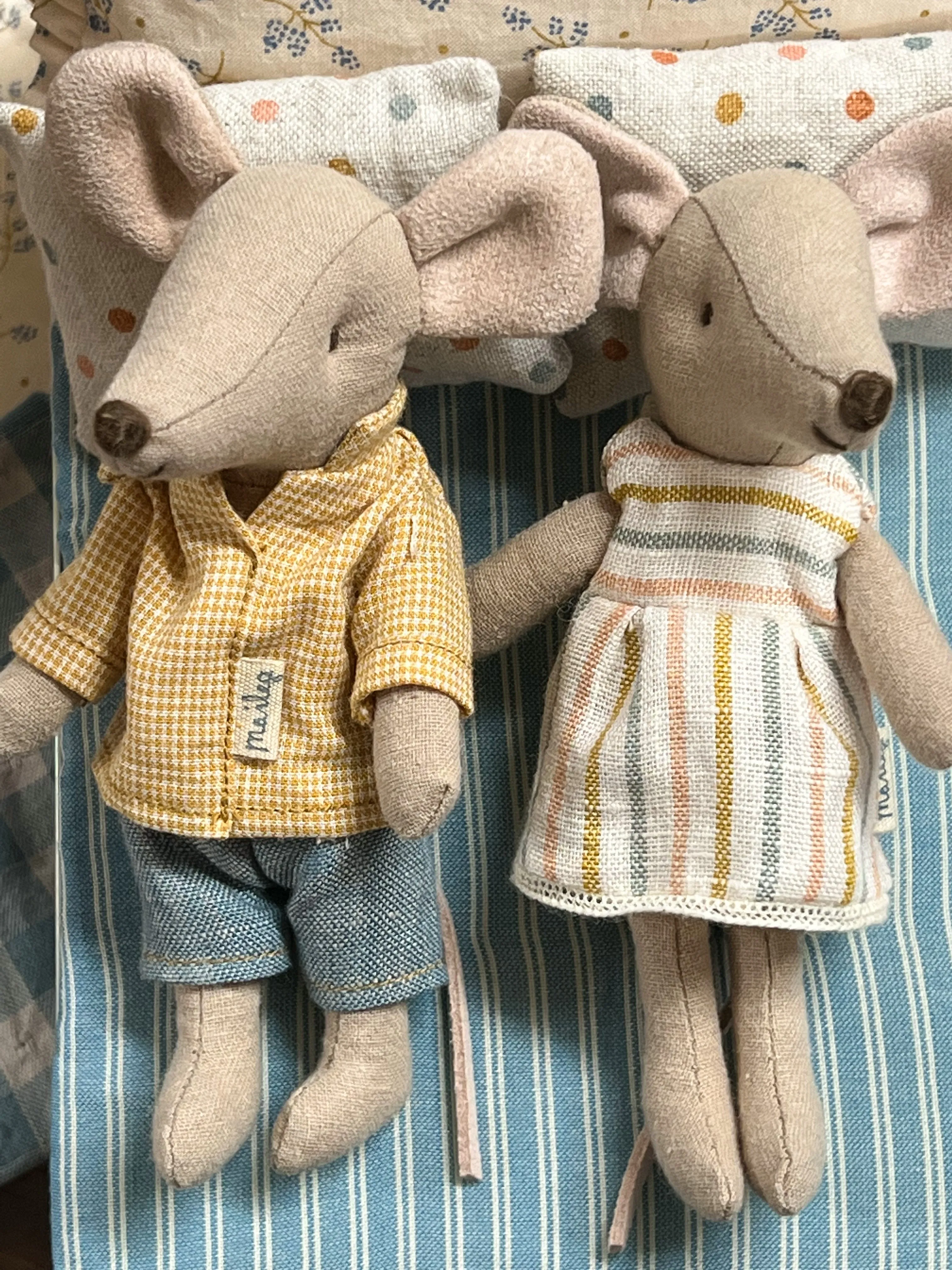 Big sister mouse in matchbox
