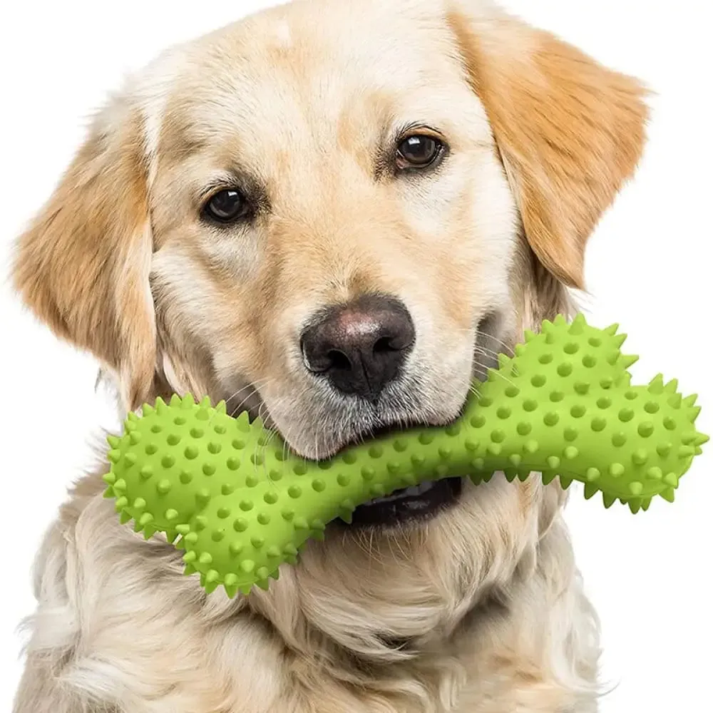Bite-resistant Teeth Cleaning Bouncy Floatable Dog Bone for Medium Large Dogs
