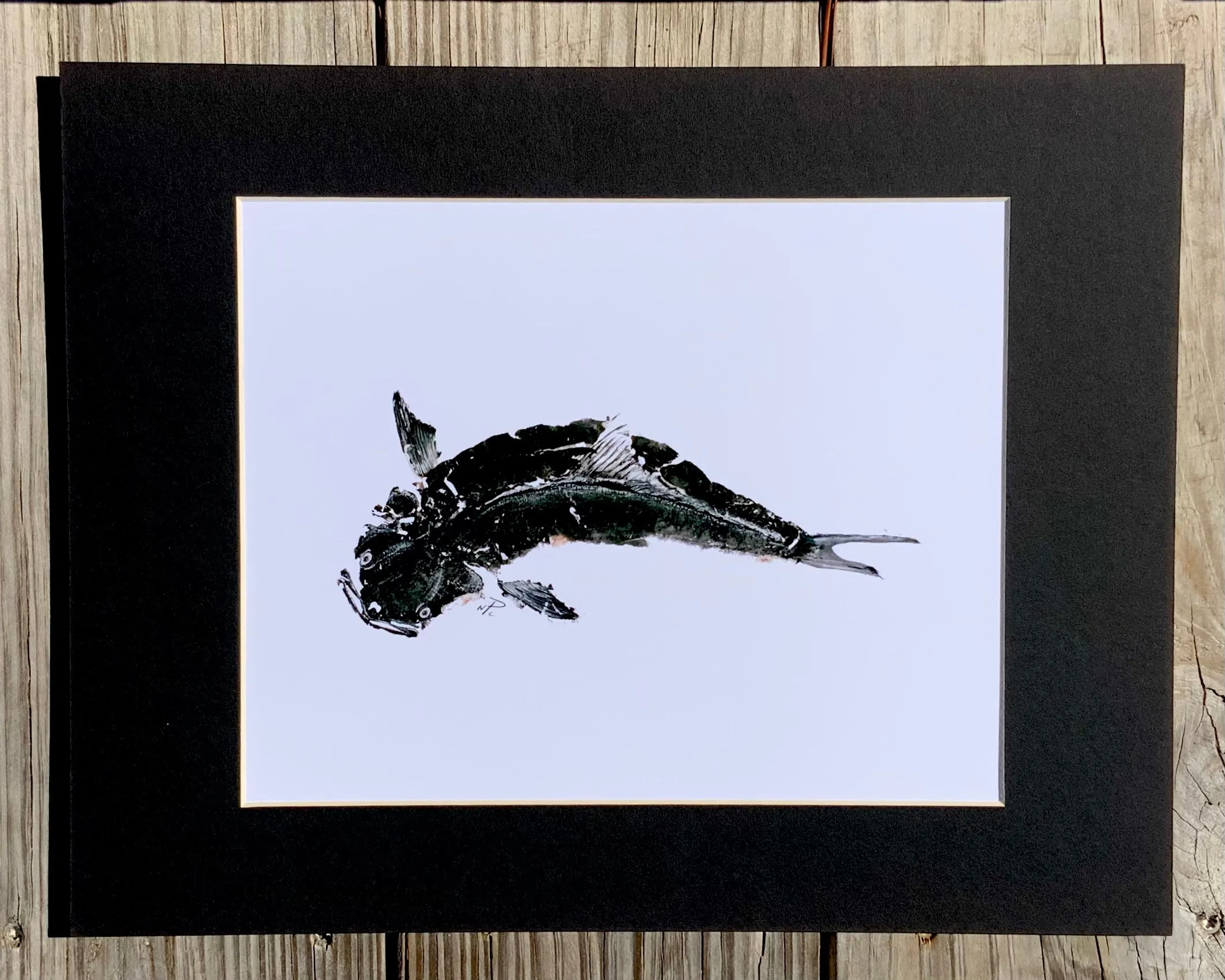 Cobia  Gyotaku Print