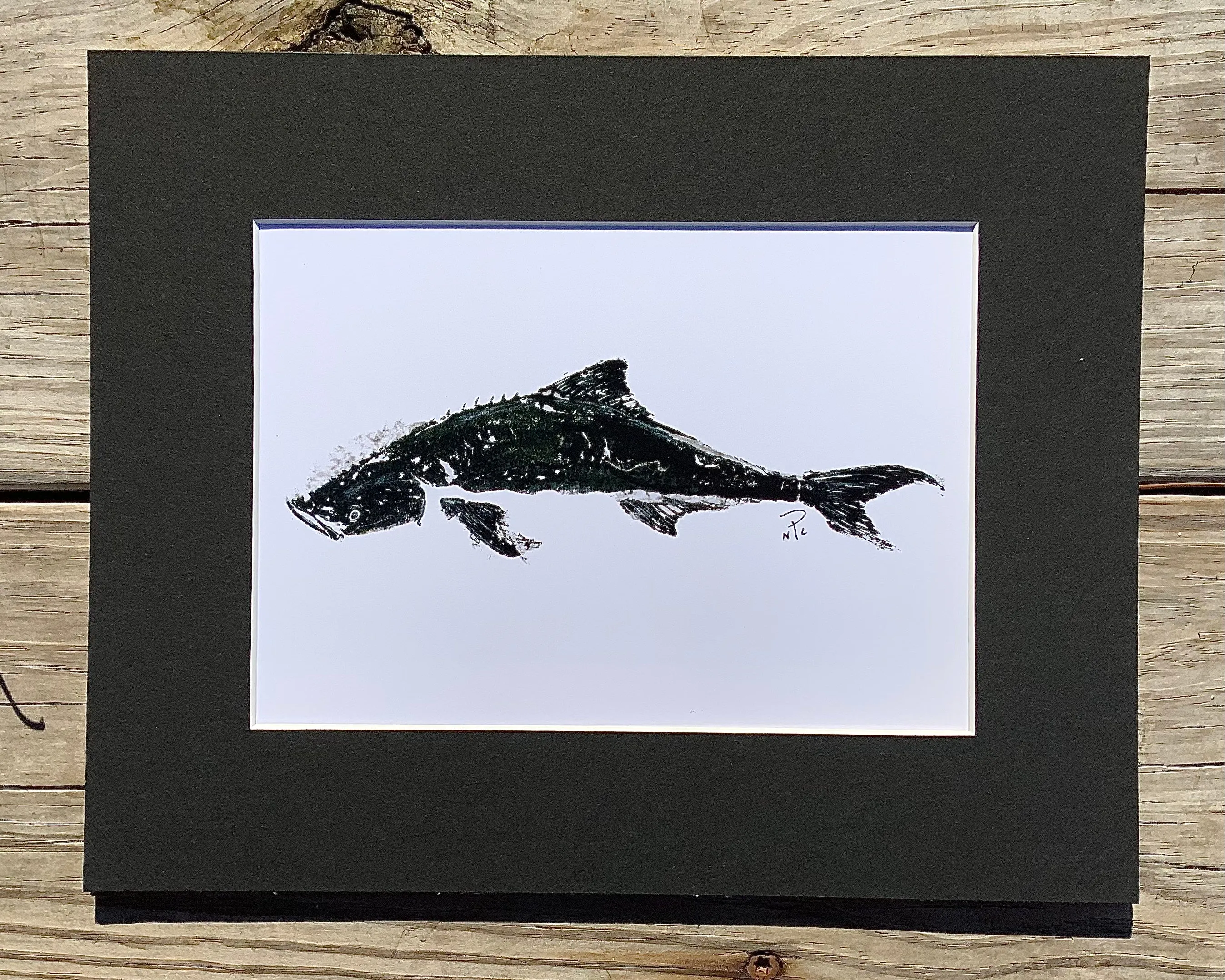 Cobia  Gyotaku Print