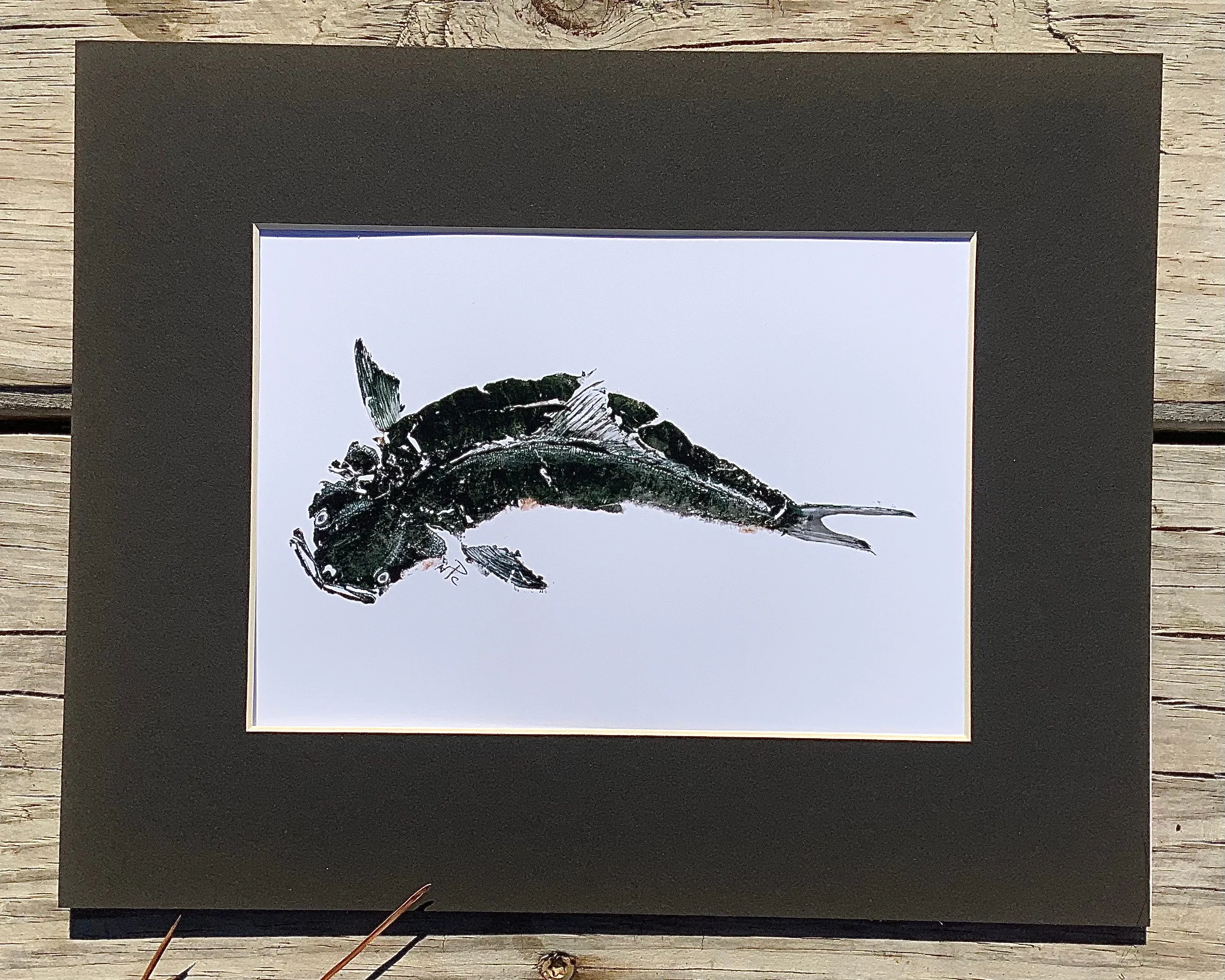 Cobia  Gyotaku Print