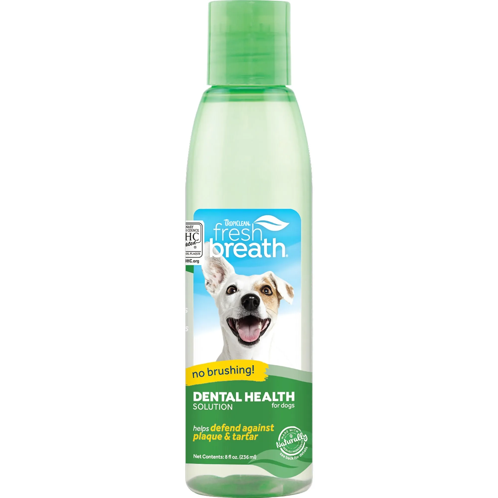 Fresh Breath Dental Health Solution, 8oz