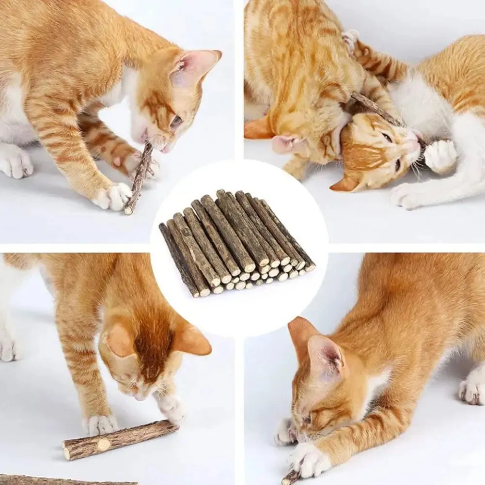 Natural Silvervine Cat Chew Sticks for Healthy Teeth & Fun